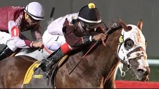 AQHA Racing Challenge Update 6 - Oct 22, 2016