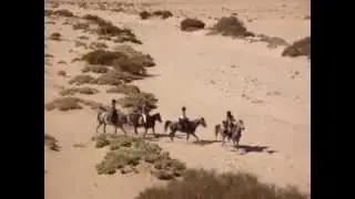 PFERD & REITER: Reittour in Jordanien