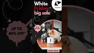 PetKit White Friday Sale UAE