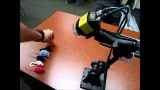 Hands-Free Imager - Scanning bar coded ear tags