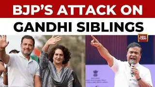 BJP Claims Rahul Gandhi Set Priyanka Vadra Up for Failure, by Handing Her 'an Impossible Task'