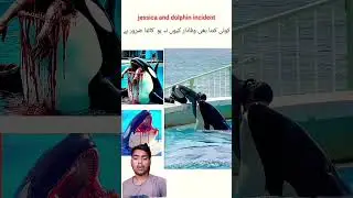 Jessica Aur Dolphin ka khaufnaak Pal Trainer ko kha Gaya