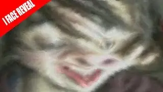 I FACE REVEAL LEAFY