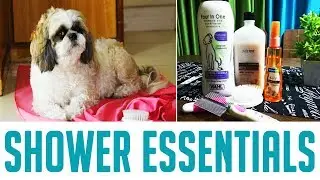 Shih Tzu Shower Essentials | Indian Petmom Sharing Important tips and Products for Shih Tzu