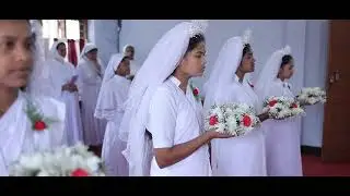 Vestition and First Profession#Highlights#St Martha's Congregation Jan 2023, Pala, KERALA#jagdalpur