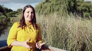 Why Do People Elope?