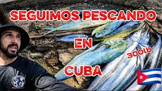 Cuba est&aacute; llena de peces . Una pesca incre&iacute;ble llena de emociones.