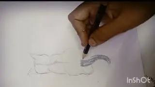 Cat drawing  simple video 😺🐈