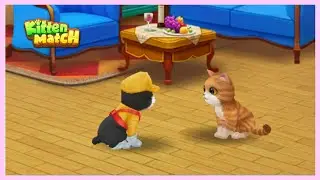 Kitten Match - Cute Cats