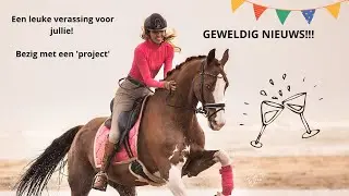 Super leuk nieuws!! Spannend project! |Purarazadivino | Bling your horse VLOG #82