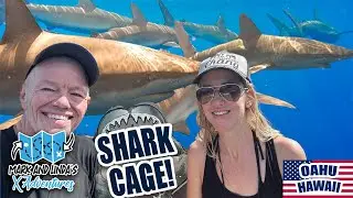 Shark Cage Diving in Oahu: Face-to-Face with Galapagos Sharks 🦈🌊 #sharks #oahuhawaii #sharkcage