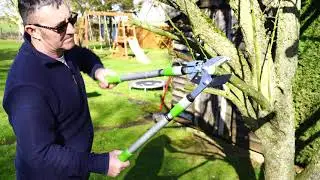 2 in1 Extendable Pruning Tool and Lopper