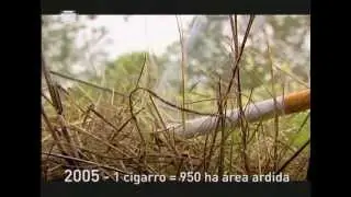 tri&acirc;ngulo do fogo (combust&iacute;vel, comburente, fonte de igni&ccedil;&atilde;o)
