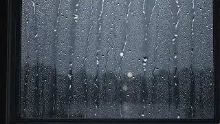 8 Hours Calm Rain on Window 🌧️ Night Rain Sounds for Deep Sleep