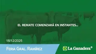 Remate de Hacienda Coop. LA GANADERA -  Feria Ram&iacute;rez. Jueves  18 de Diciembre 2025.