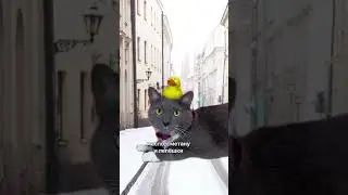 КОГДА МАМА ОТПРАВИЛА В МАГАЗИН