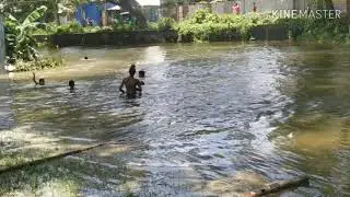 Village boys swimming in canal l village boys l