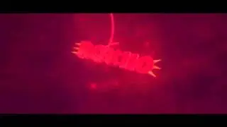 INTRO / Roxiio ft DasEnte