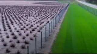They Laughed at Australia for Building Thousands of Kilometers of Fences&hellip; But Decades