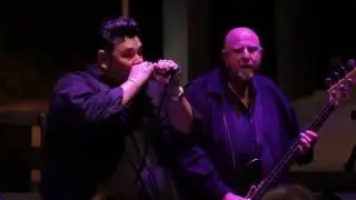 The Bye Bye Song - Memo Gonzalez & The Ozdemirs at The Texas Musicians Museum