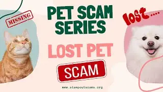 Beware the Heartless Lost Pet&nbsp;Scam: Protect Your Furry Friends!