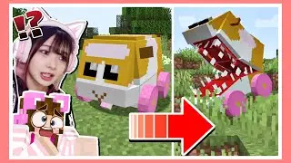 【閲覧注意】モルカーがマイクラにやってきた！でも何か様子がおかしい…？【マインクラフト】【PUI PUI モルカー】【Minecraft】【女性ゲーム実況者】【TAMAchan】