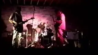Dallywag LIVE @ Paycheck's Lounge 