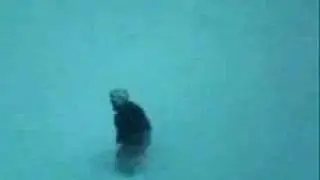 Noboarding in the back 40
