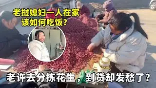 老许去分拣花生米，老挝媳妇独自在家吃饭，货到后的难题太真实了！【老许的老挝媳妇】