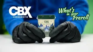 NEW CBX Blue Flame Preroll Pack!