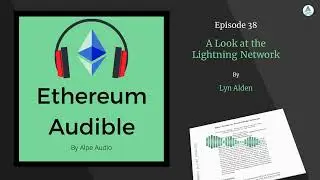 A look at the Lightning Network || Lyn Alden (Part 1)