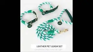 Luxury Handwoven Dog Leash & Collar  