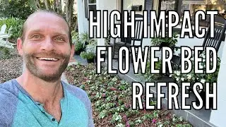 Seasonal Flower Bed Refresh | How to Plant a High Impact Spring Flower Bed | Flower Garden Ideas