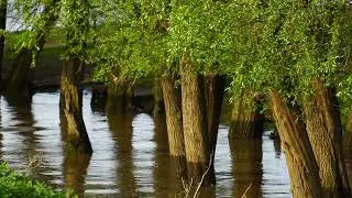 OOIJPOLDER NIJMEGEN
