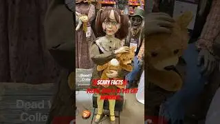 People used to put cat mummies&hellip;#foryou #viral #facts #fyp#scary #subscribe