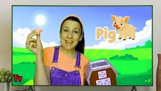 Ms Rachel: Learning Pig Sounds Oink Oink Just Like A Pig | Effects Compilation 