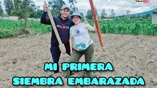 Sembrando ALVERJA EMBARAZADA - Eleniita G