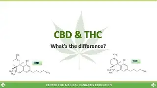 What is the difference between THC & CBD?