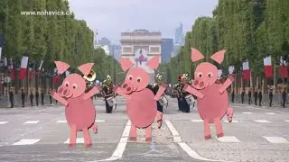 Tři čuníci / Trois cochons