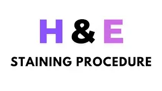 Hematoxylin and eosin staining procedure, H & E staining steps, H&E staining overview