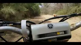 yamaha yz 250f 2010