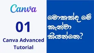 Canva Tutorial for Beginners (Sinhala) 01 | Canva introduction - මොකක්ද මේ කැන්වා කියන්නෙ ? 🤔
