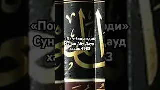 &laquo;Погибли люди&raquo;. Сунан Абу Дауд, хадис 4983
