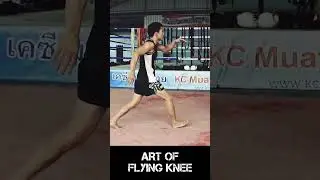 KC Muay Thai