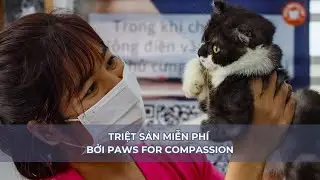 Triệt sản miễn ph&iacute; bởi Paws for Compassion