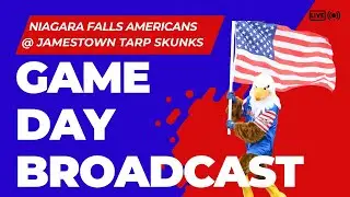 2025-07-17 Niagara Falls Americans @ Jamestown Tarp Skunks