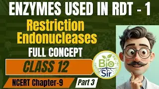Enzymes Used in RDT Explained (Part 1) | Nuclease, Exonuclease, Endonuclease & Restriction Enzyme