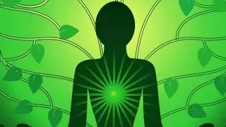 Heart Healing Peaceful Music Refresh your Blood Vains Normalize the blood speed #healingmeditation
