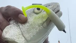 🔥🧨Ever sight casted a Red Drum with a BTX Grenade?! 🧨🔥