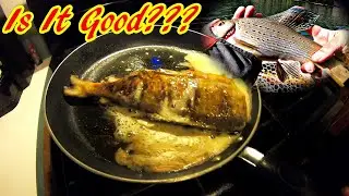 Arctic Grayling Fishing | What Does Grayling Taste Like?